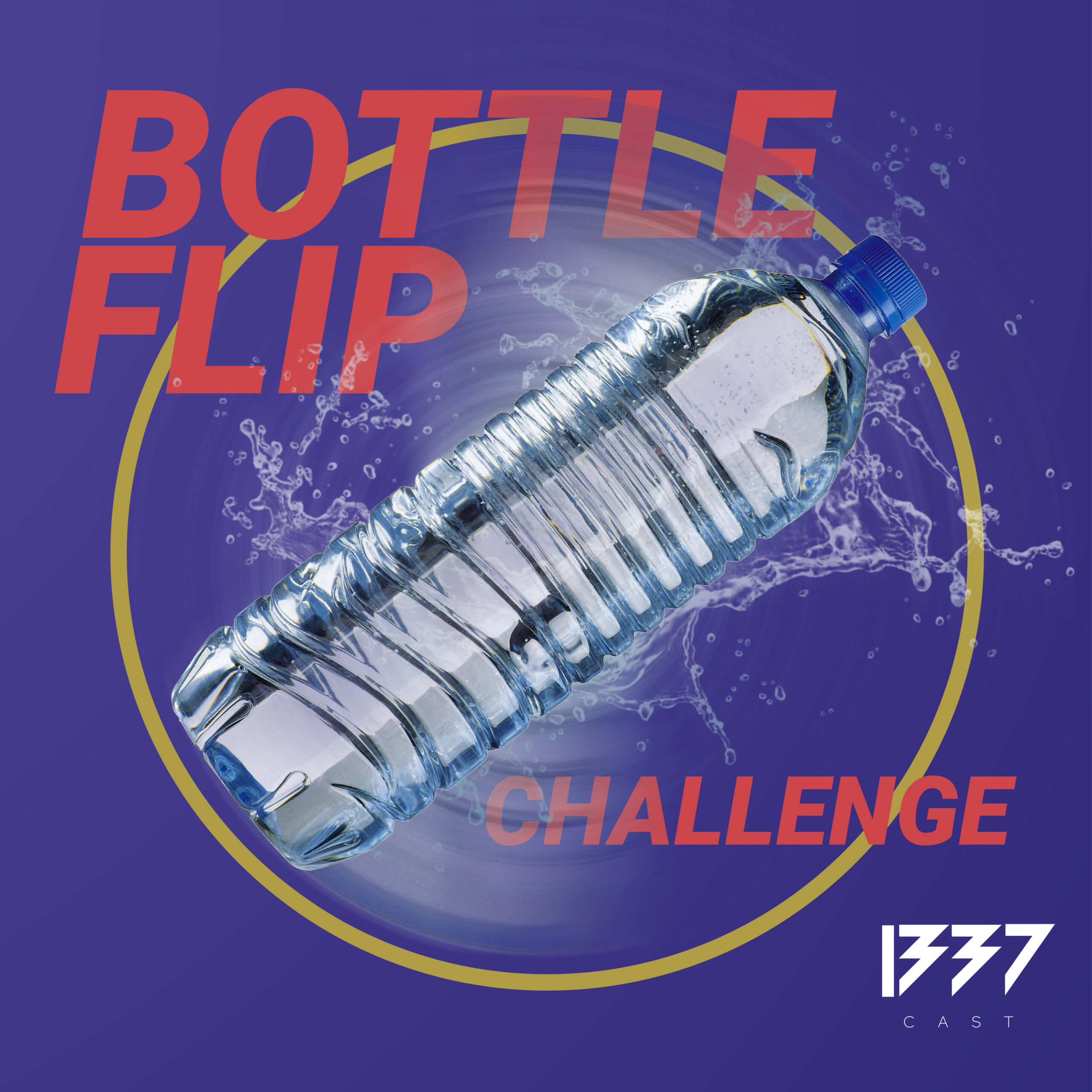 Total ausgeflippt – Bottle Flip Challenge
