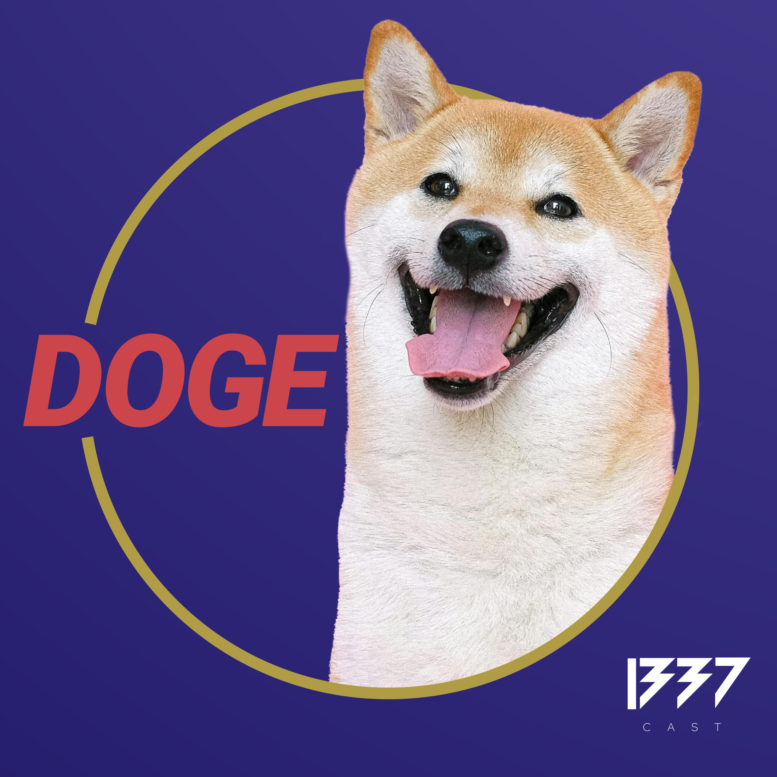 Very wow! Much episode!  – Doge